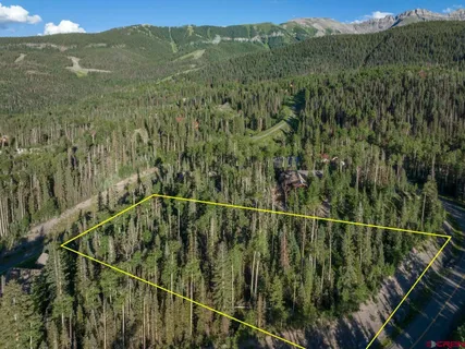a view of a lush green forest with lush green forest