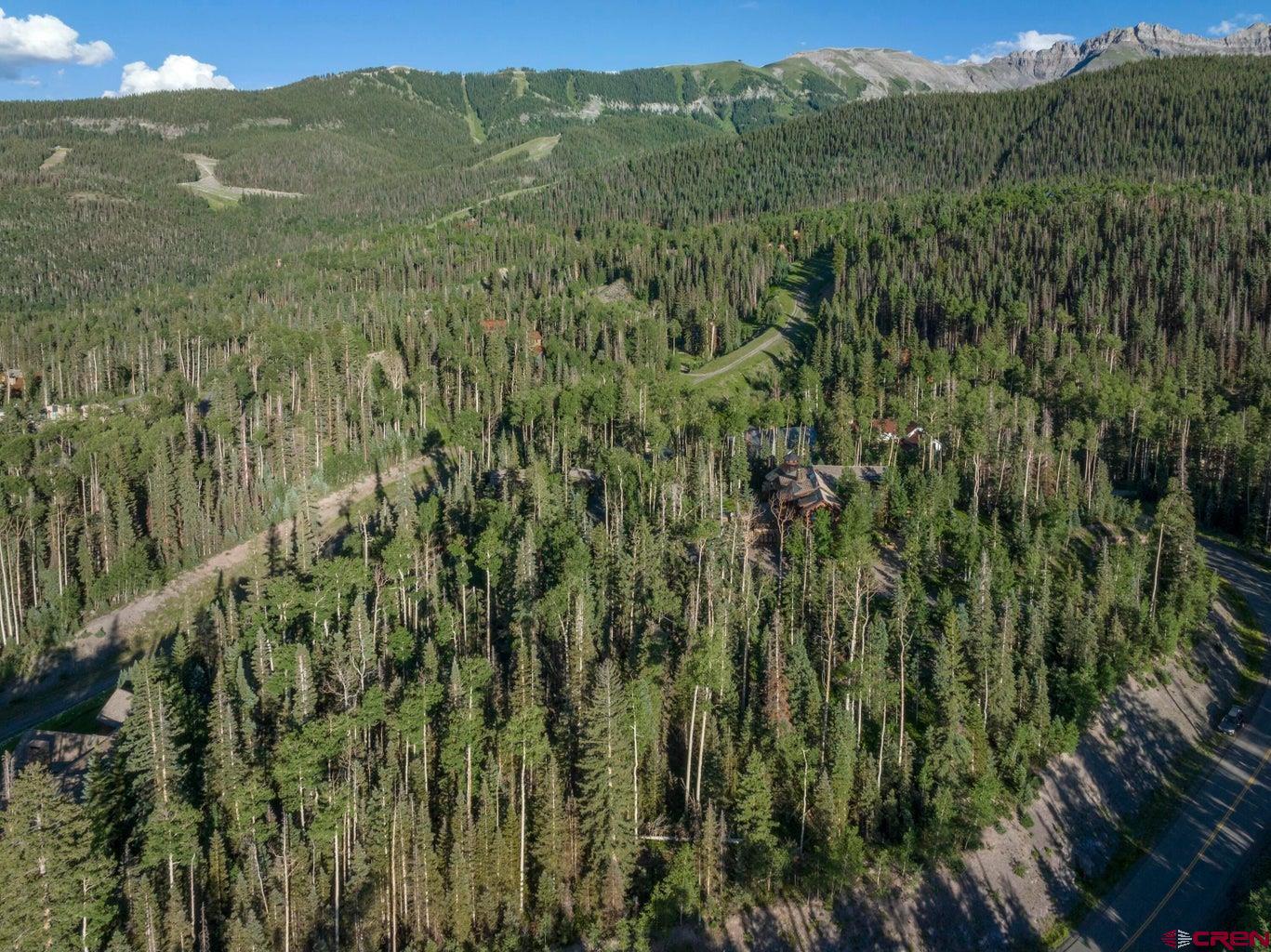 Tbd Lot 333 Benchmark Drive Telluride, CO 81435 - Photo 10 of 22 a view of a lush green forest with lush green forest