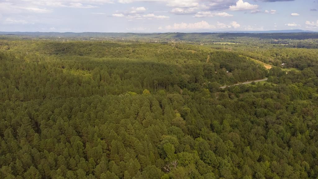 0 Chattem/charles Road Decatur, TN 37322 - Photo 1 of 4