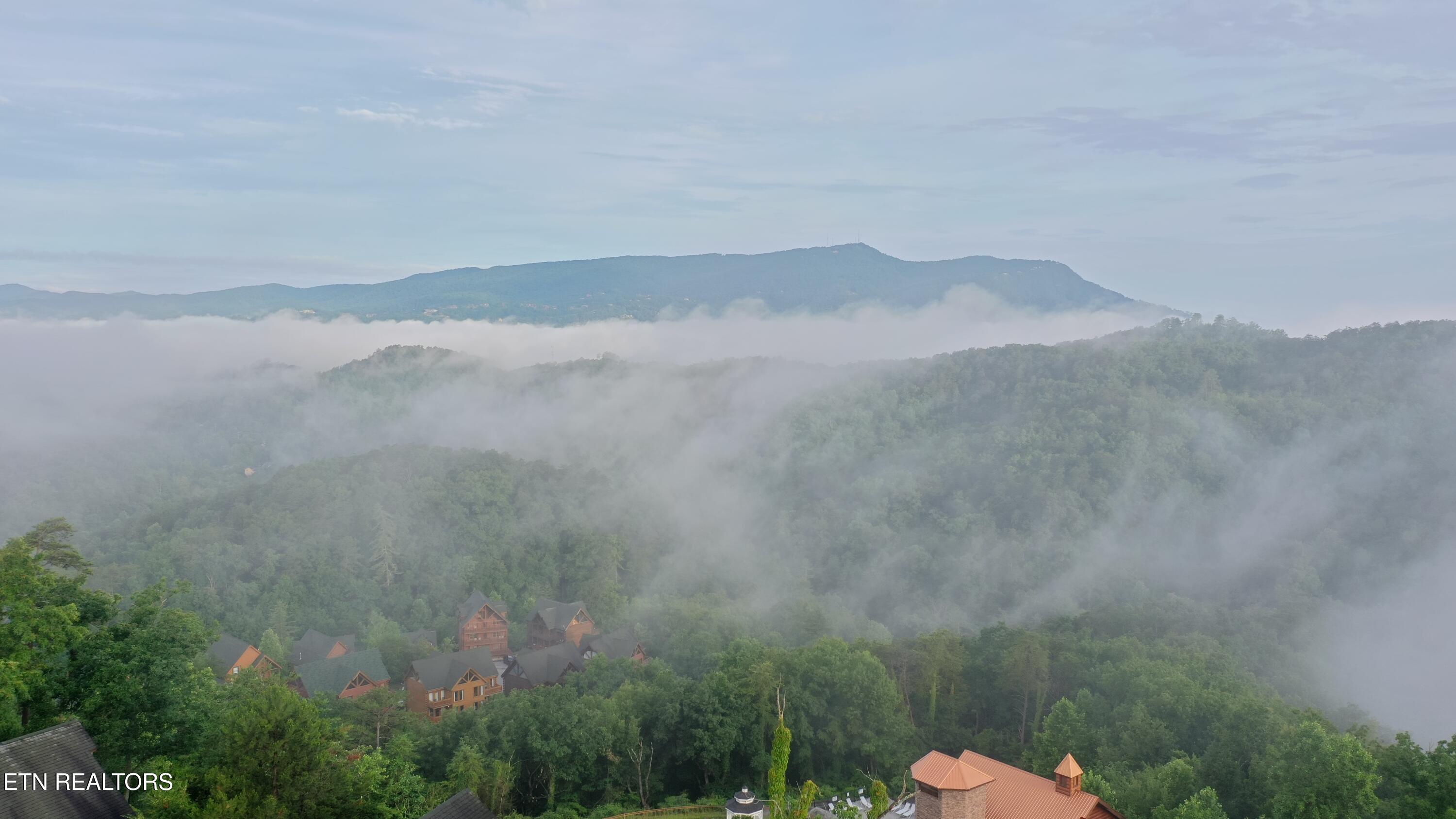 936 Black Bear Cub Way Sevierville, TN 37862 - Photo 26 of 27 DJI_0349