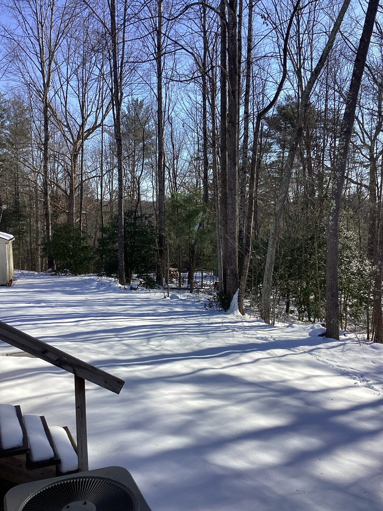 48 Holly Ridge Road Cana, VA 24317 - Photo 18 of 62 Gallery Image 18