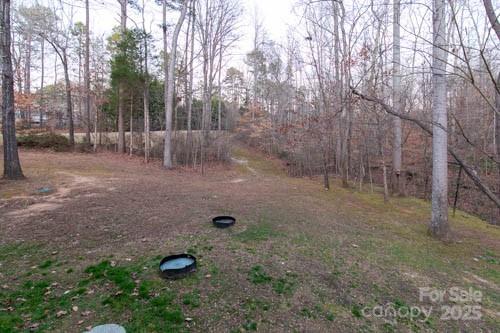 207 Streamside Place Mooresville, NC 28115 - Photo 41 of 42