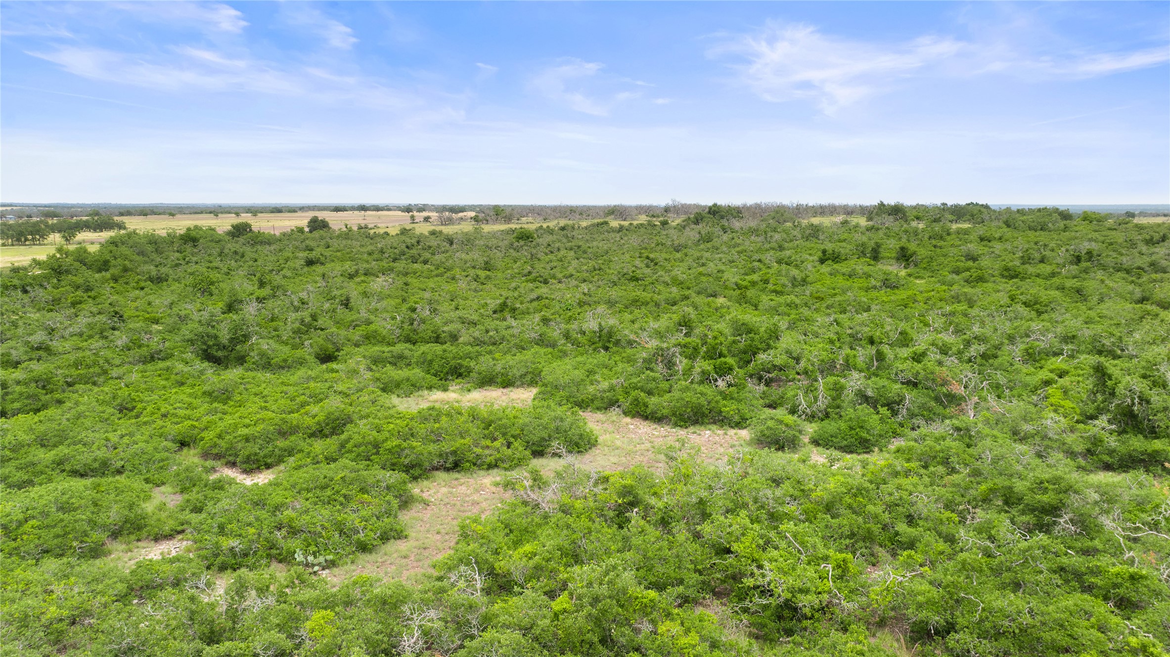 3049 Reservation Road Harper, TX 78631 - Photo 10 of 40 a view of a field of grass and trees