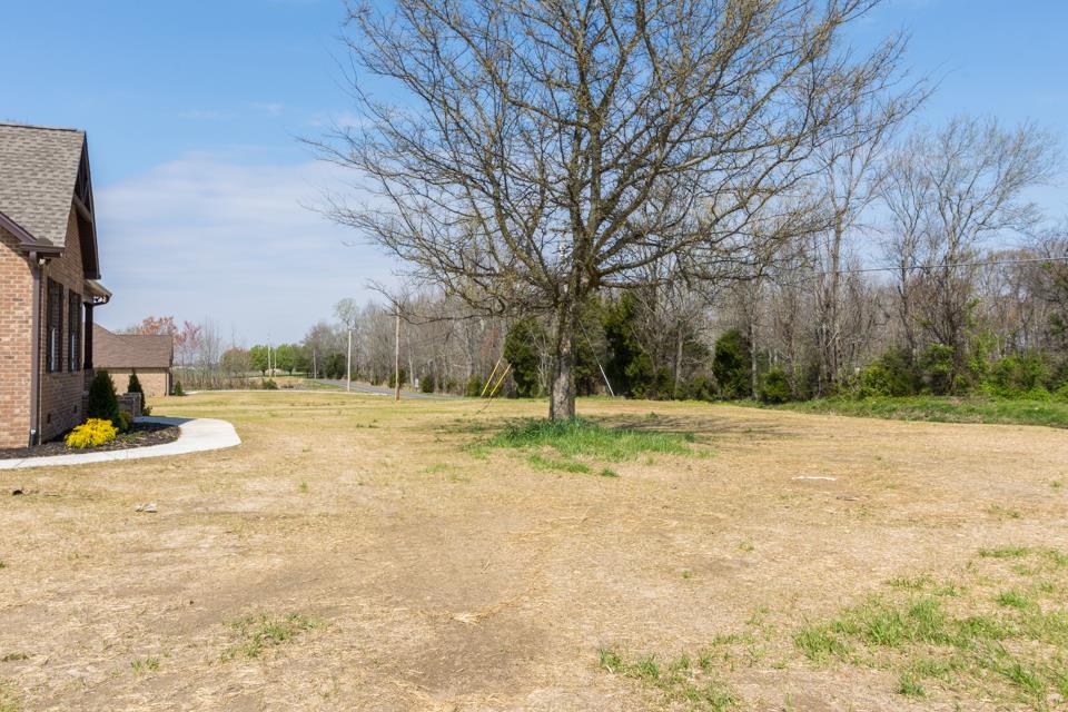 5064 Edgar Dillard Road Greenbrier, TN 37073 - Photo 27 of 29 Front Road View