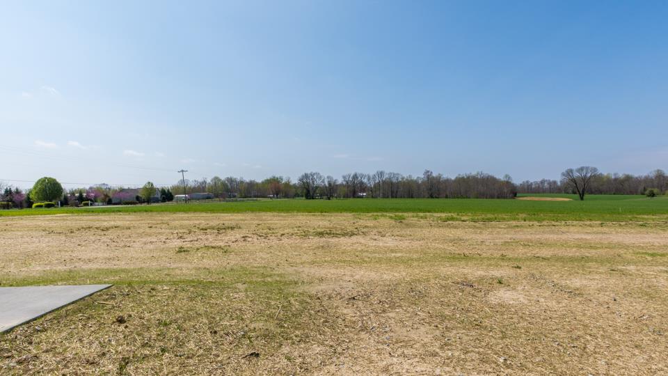 5064 Edgar Dillard Road Greenbrier, TN 37073 - Photo 28 of 29 Backyard view