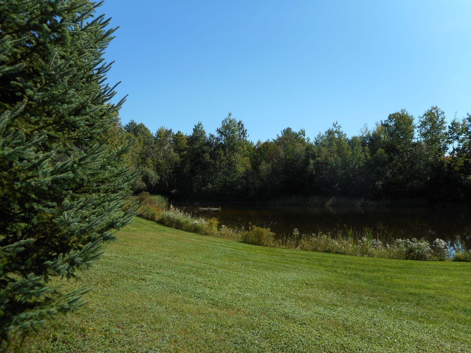 555 Belfast Road Freedom, ME 04941 - Photo 33 of 49 Back of Pond