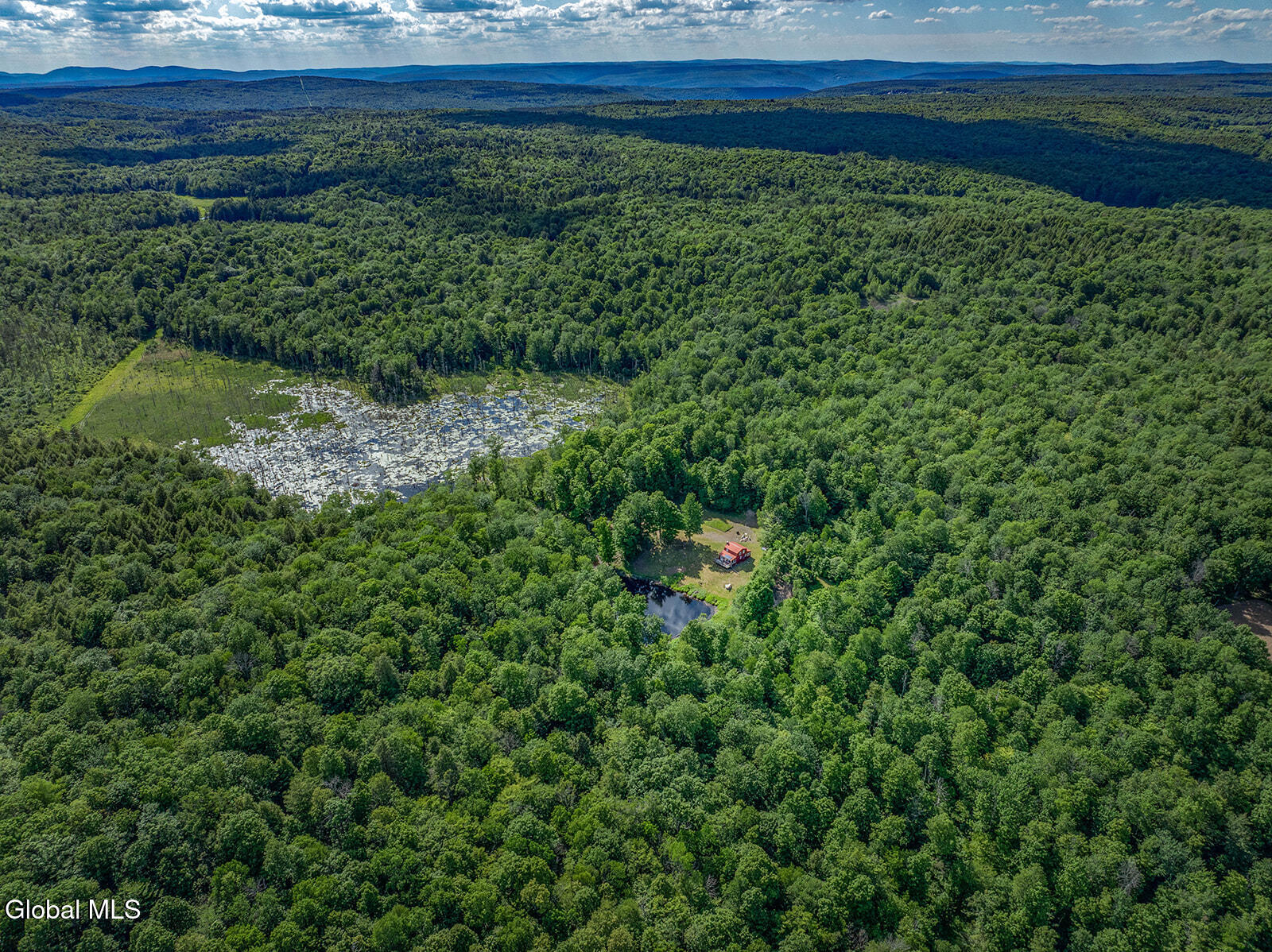 269 Federal City Road Broome, NY 12469 - Photo 13 of 43 DJI_0793-Edit