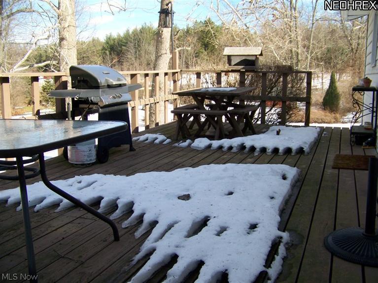 9135 Coon Club Road Medina, OH 44256 - Photo 20 of 21 Deck view