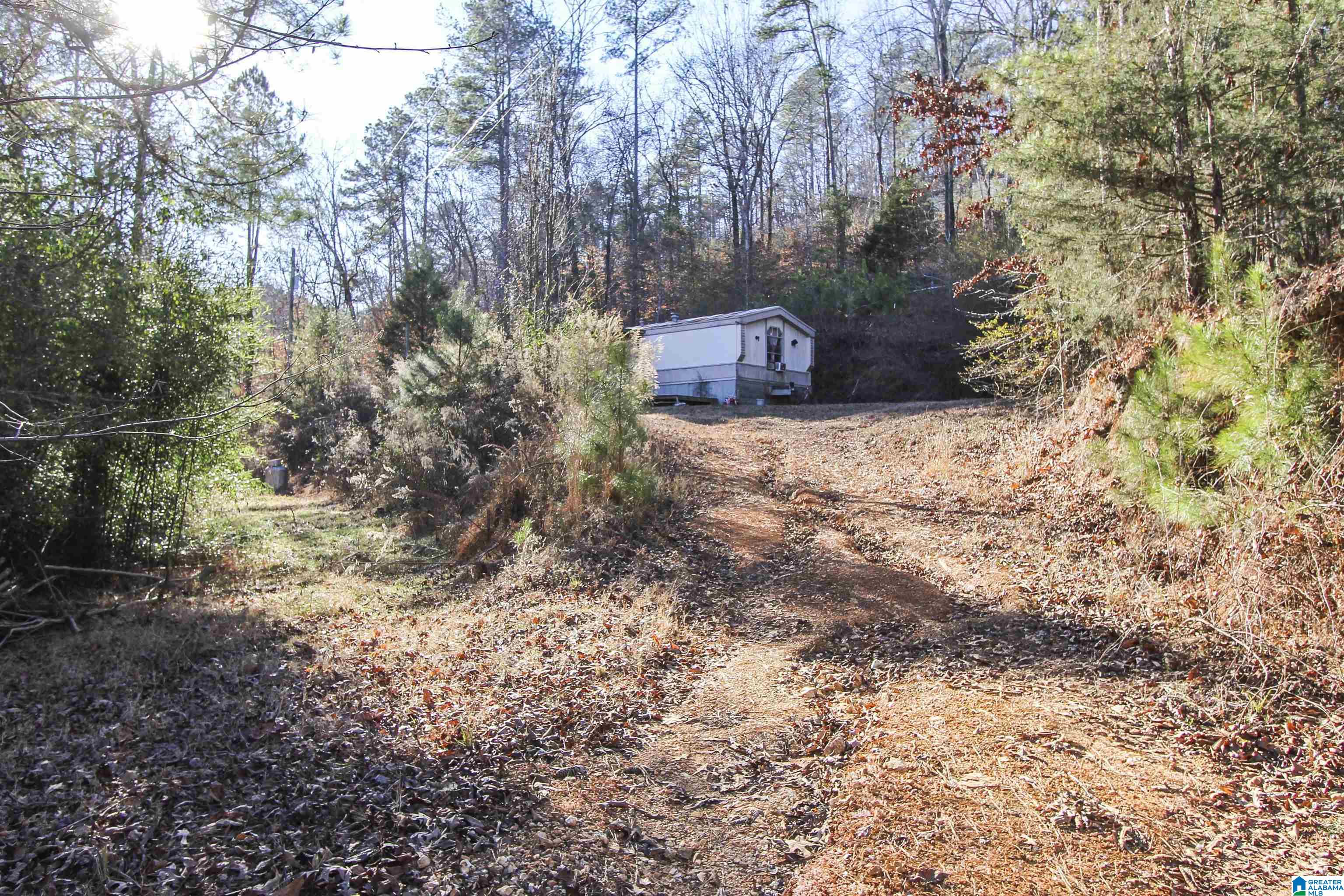 129 Mohawk Trail Ohatchee, AL 36271 - Photo 4 of 29