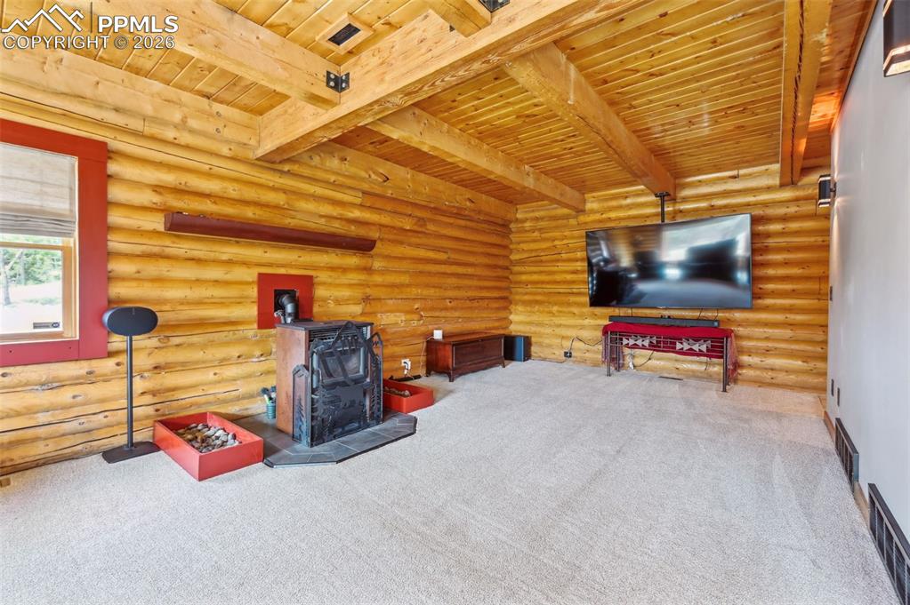 78 Barr Lake Circle Divide, CO 80814 - Photo 11 of 42