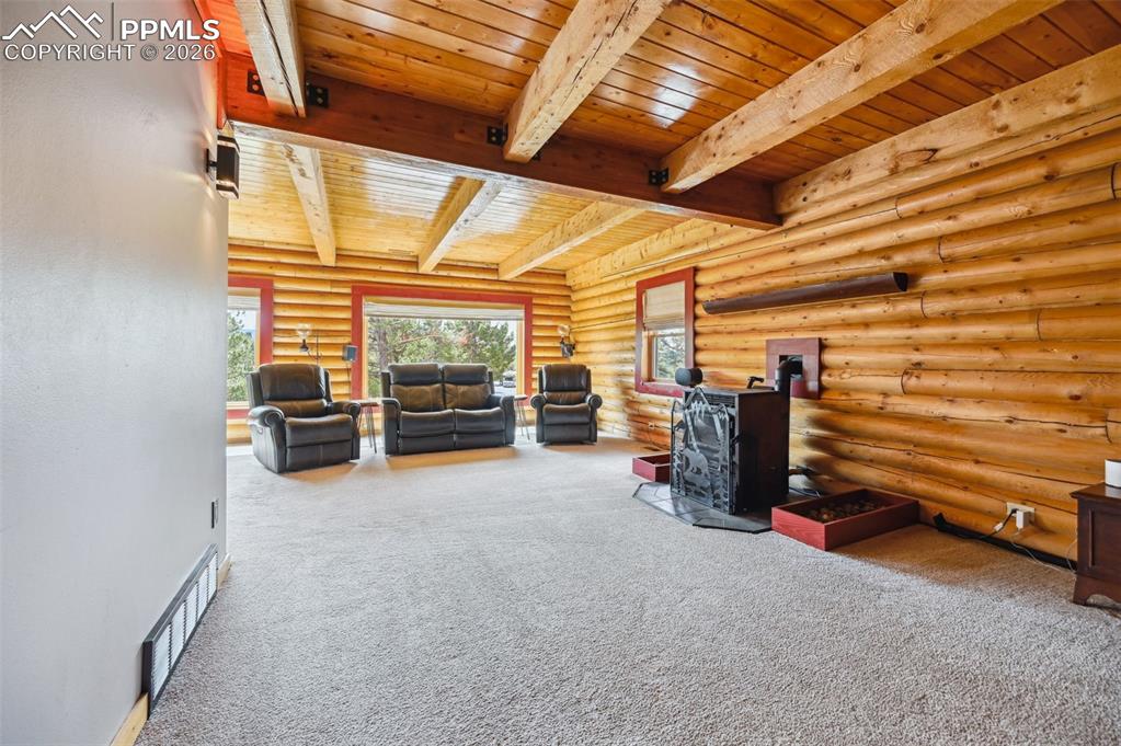 78 Barr Lake Circle Divide, CO 80814 - Photo 14 of 42