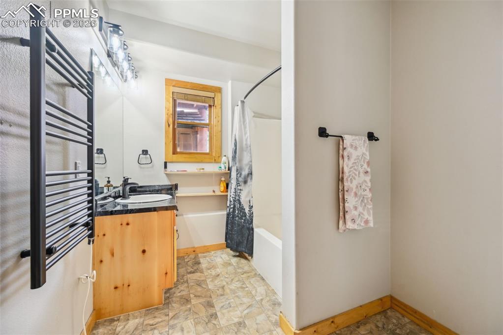 78 Barr Lake Circle Divide, CO 80814 - Photo 27 of 42 basement bath