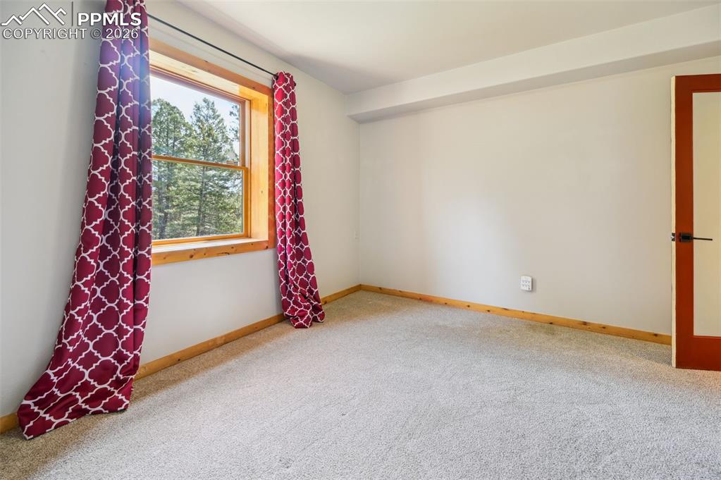 78 Barr Lake Circle Divide, CO 80814 - Photo 28 of 42