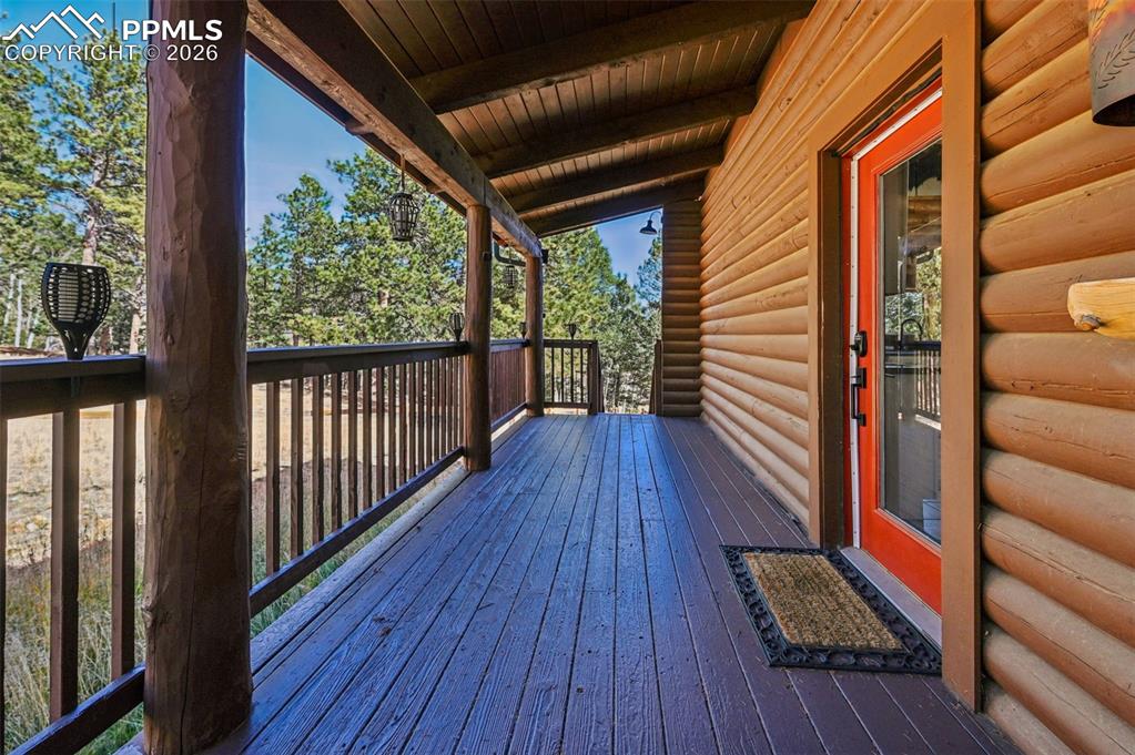 78 Barr Lake Circle Divide, CO 80814 - Photo 3 of 42 freshly painted