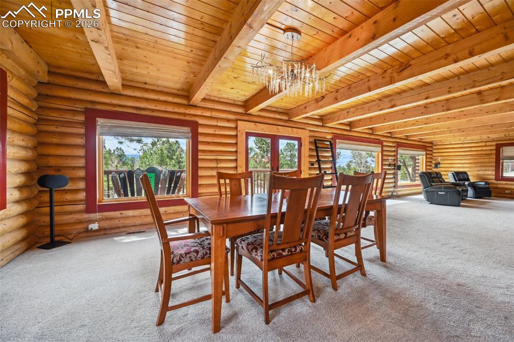 78 Barr Lake Circle Divide, CO 80814 - Photo 9 of 42