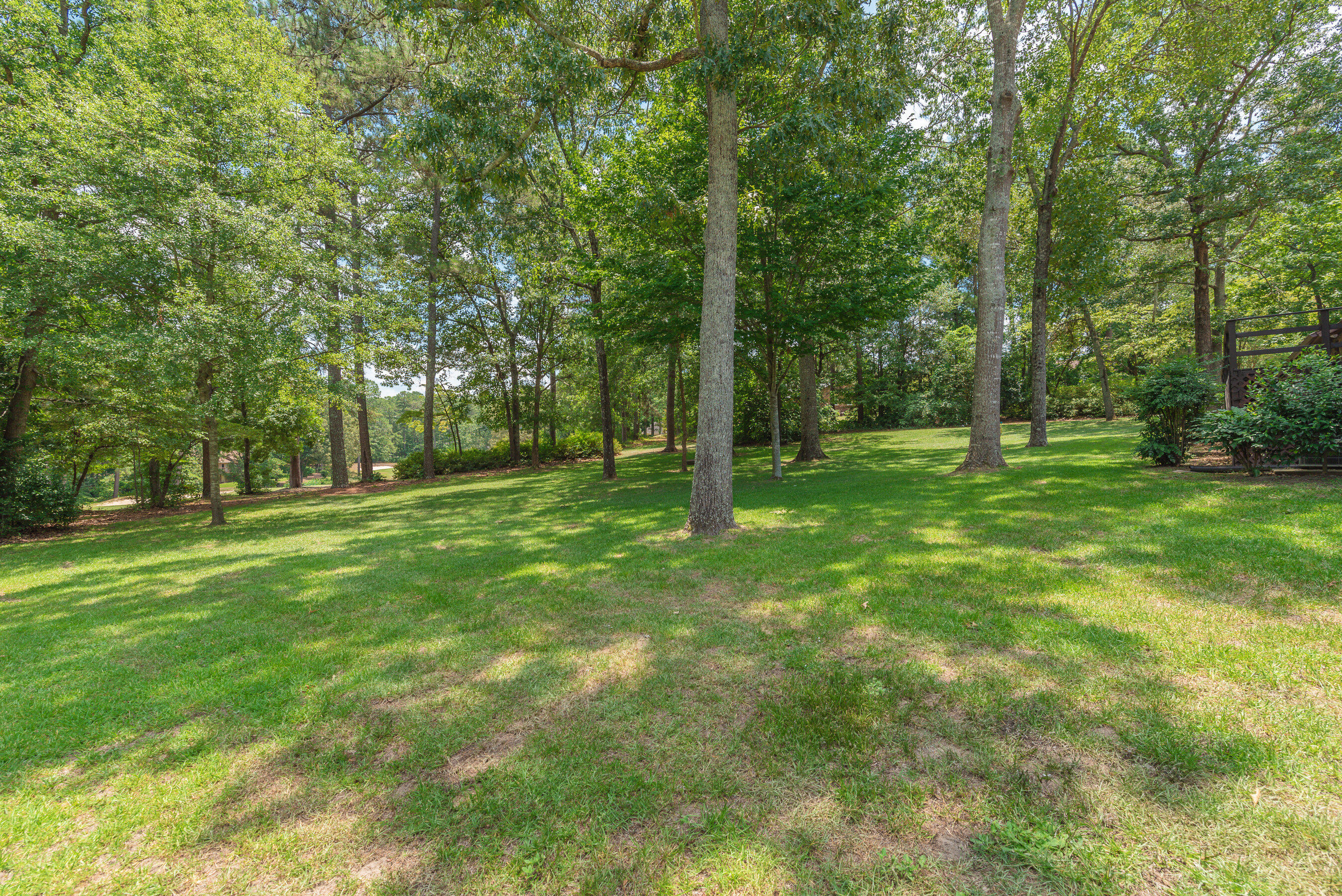 10 Inverness Street East Aiken, SC 29803 - Photo 48 of 51