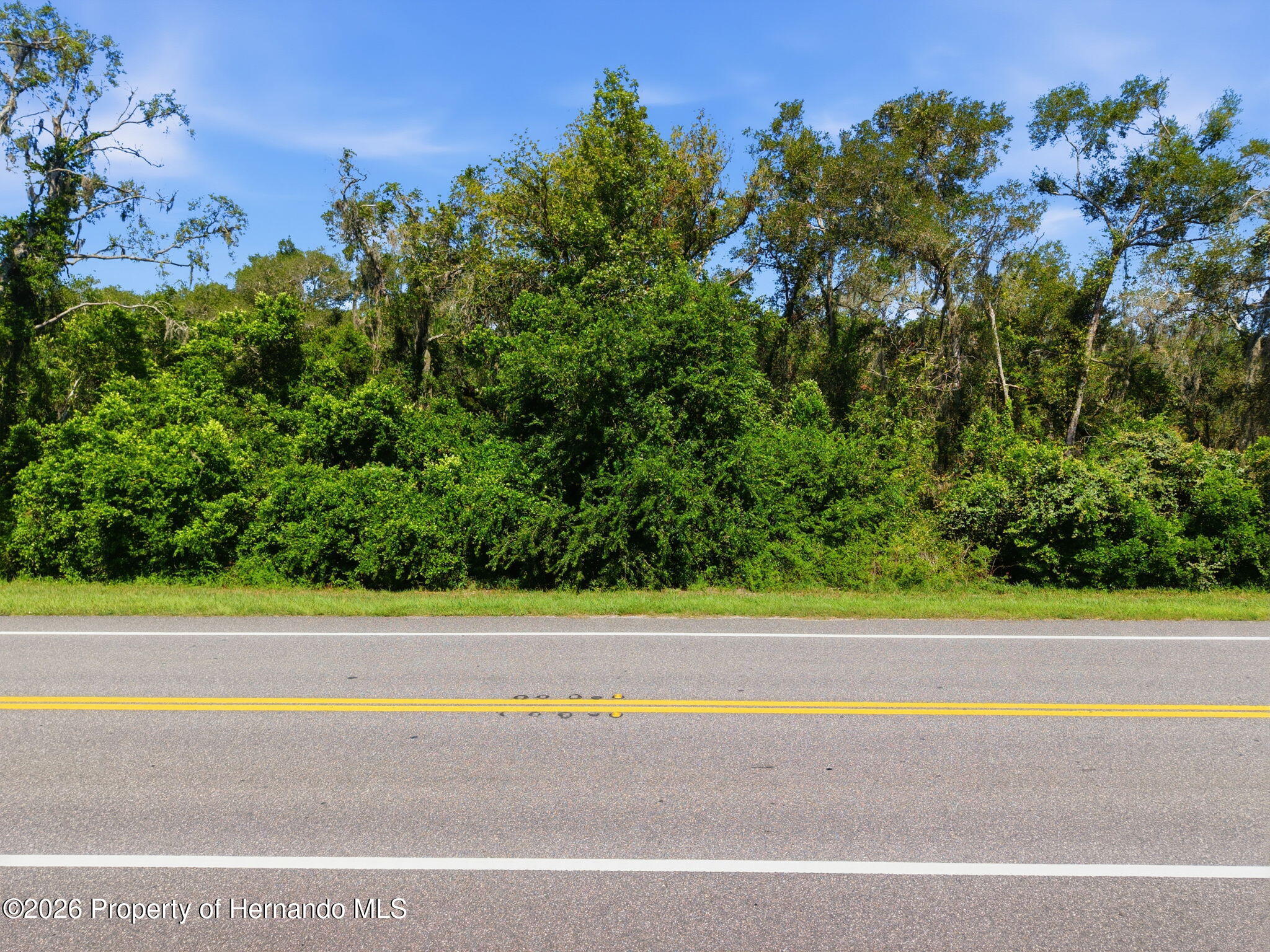 . McKethan Road Dade City, FL 33523 - Photo 6 of 8