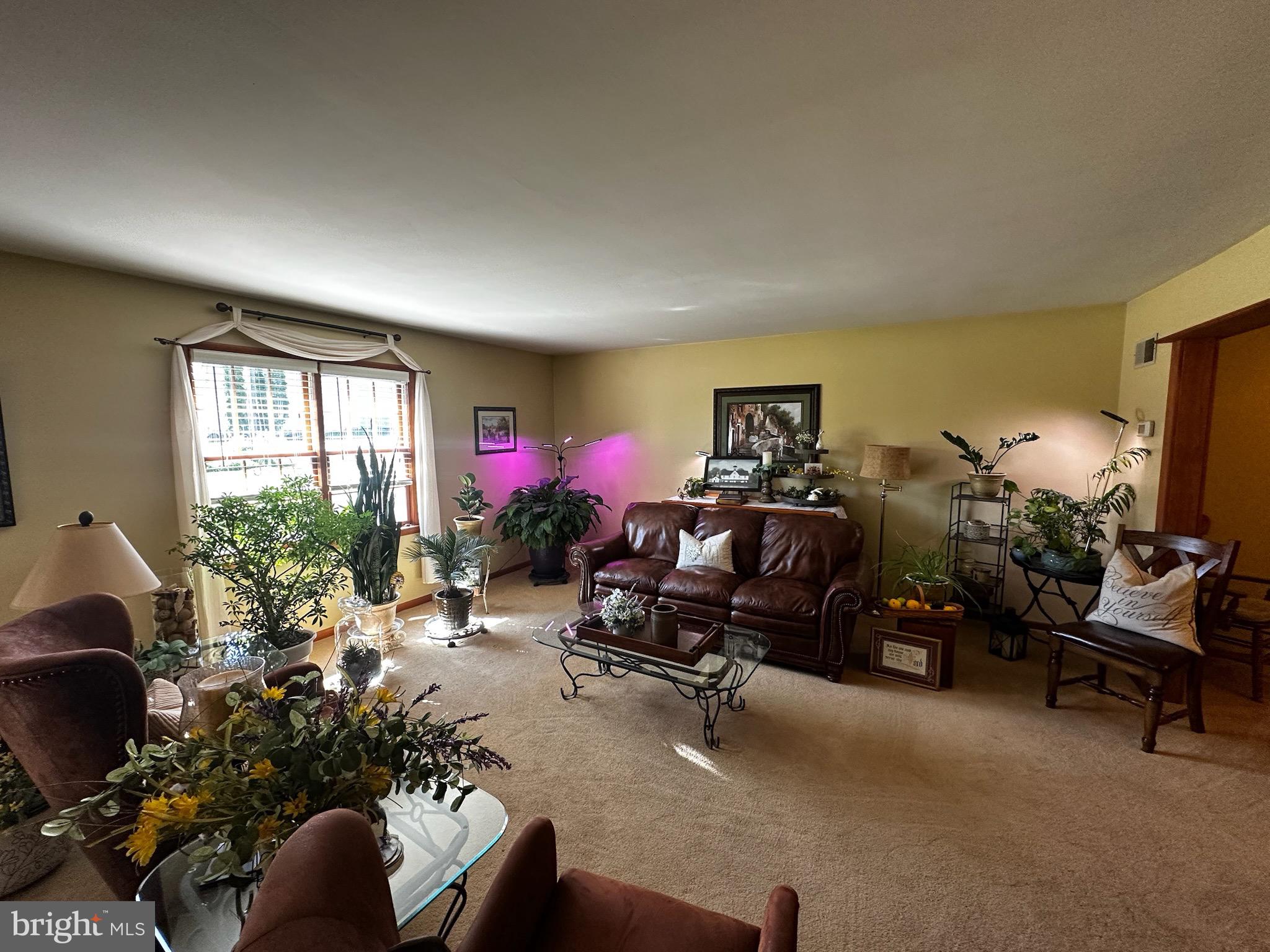 2117 Bainbridge Road Elizabethtown, PA 17022 - Photo 3 of 41 LIVING ROOM