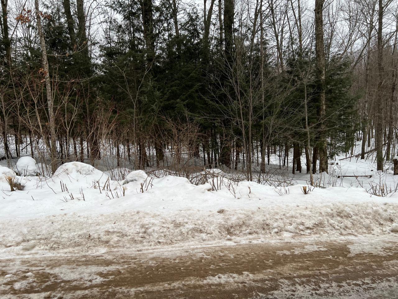 On Hillside Road Antigo, WI 54409 - Photo 1 of 1 Gallery Image 1