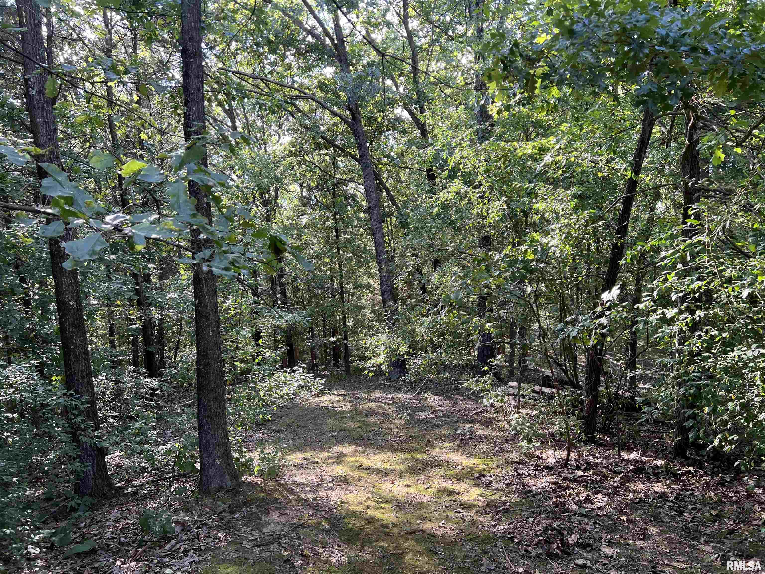 349 McKinney Chapel Road Marion, IL 62959 - Photo 11 of 26