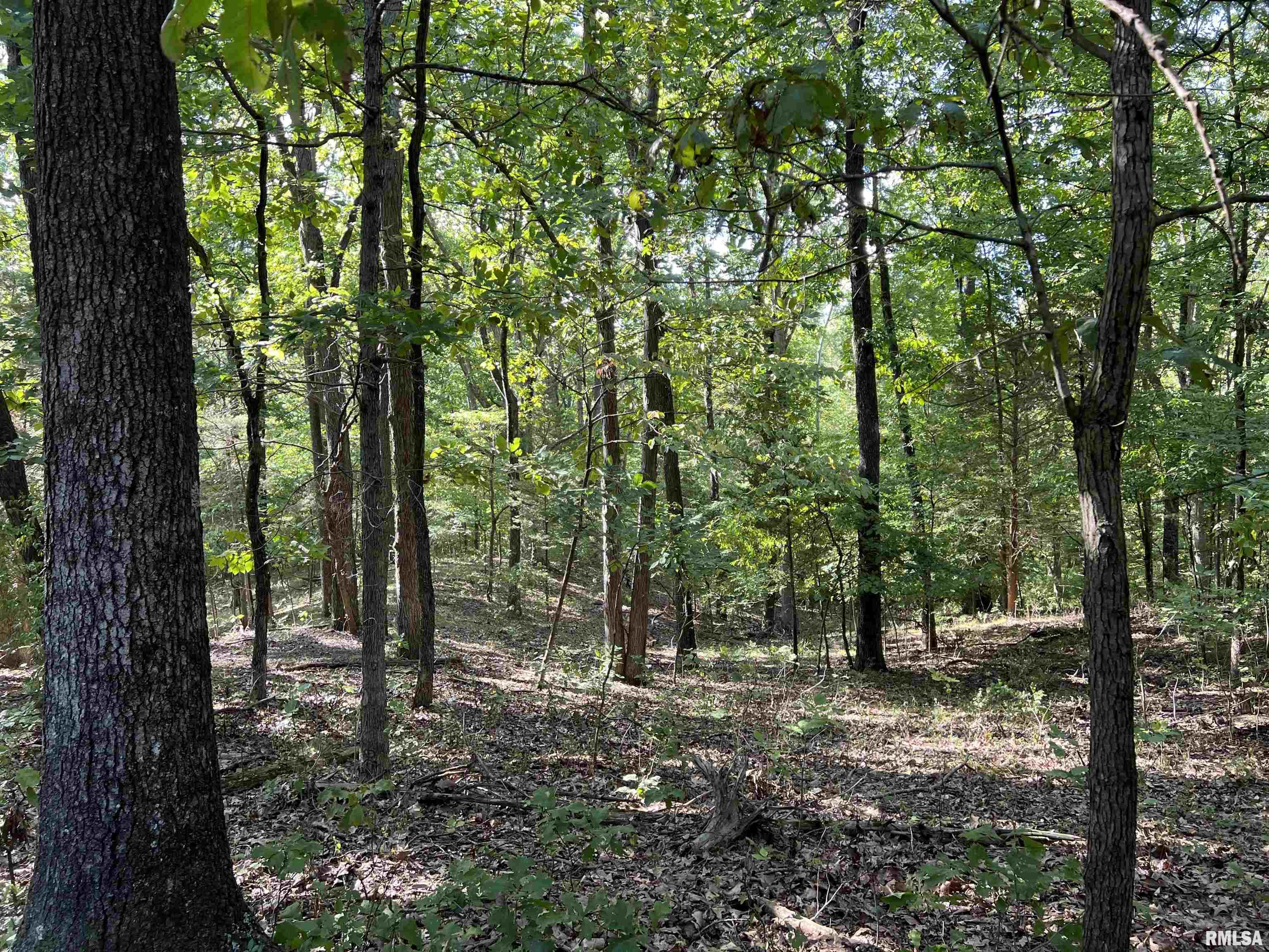 349 McKinney Chapel Road Marion, IL 62959 - Photo 12 of 26