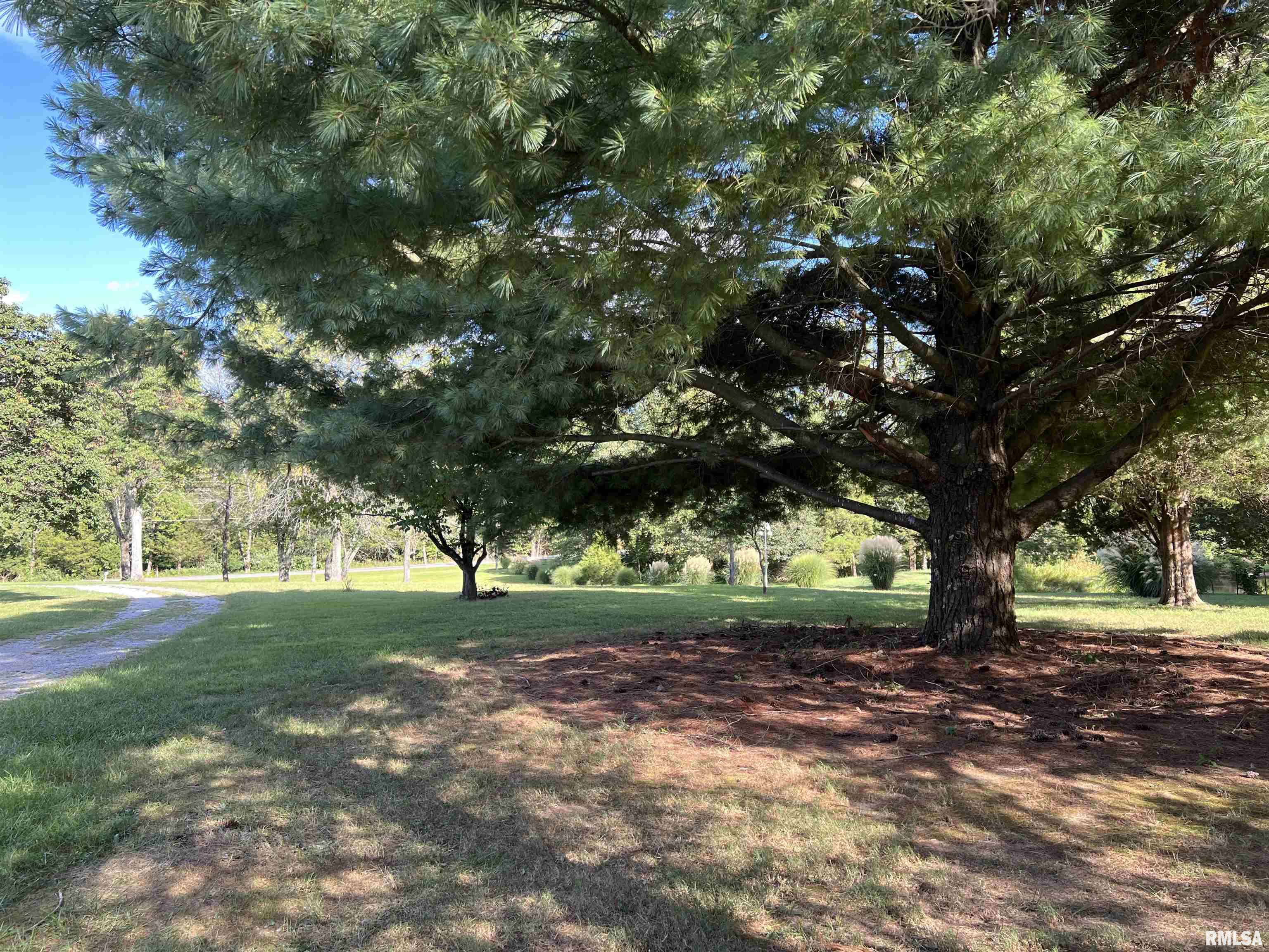 349 McKinney Chapel Road Marion, IL 62959 - Photo 14 of 26