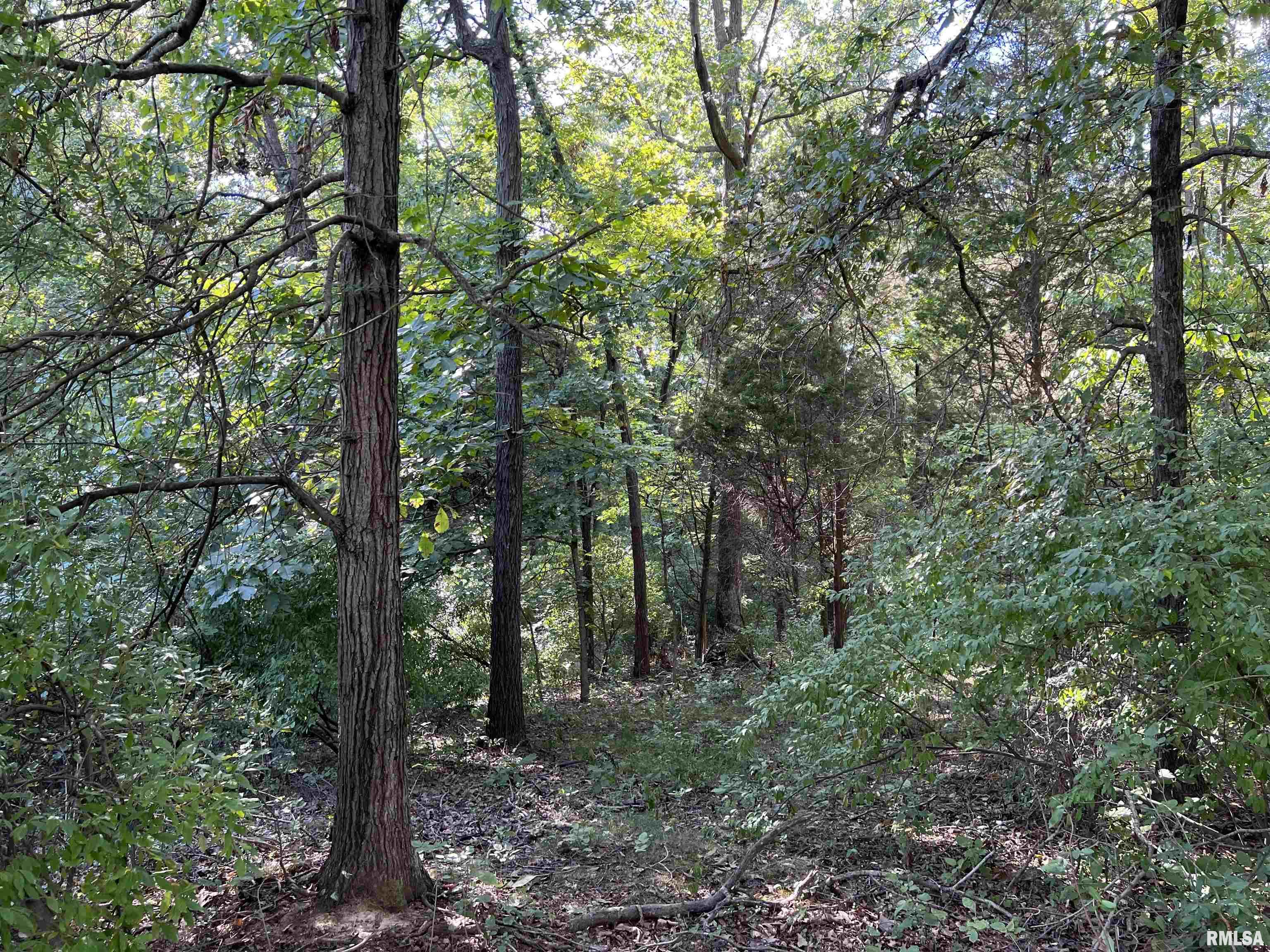 349 McKinney Chapel Road Marion, IL 62959 - Photo 9 of 26