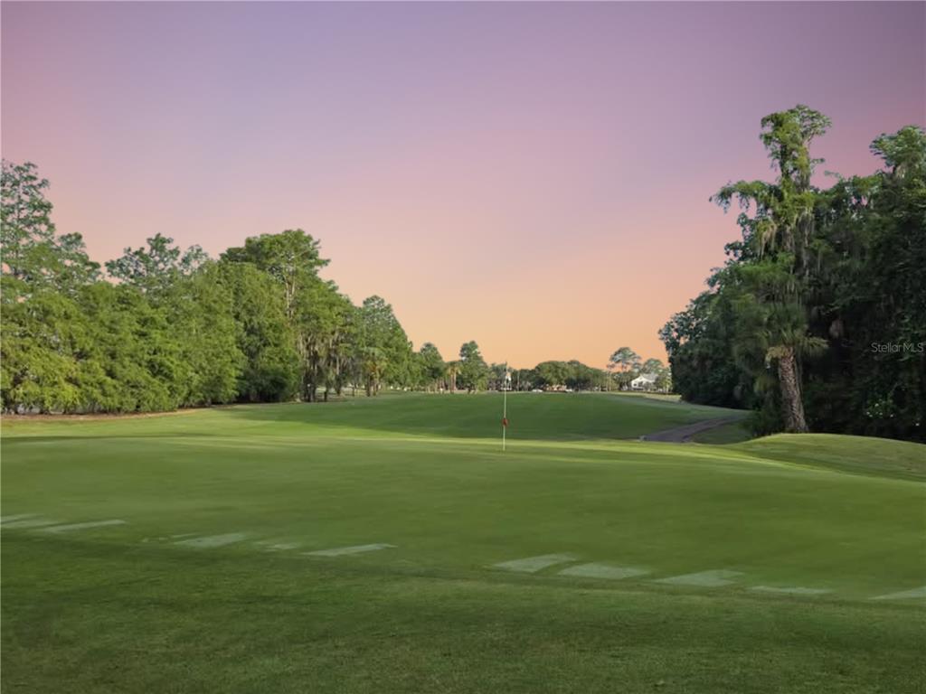 6140 Raintree Drive, Unit L3 Orlando, FL 32822 - Photo 21 of 27