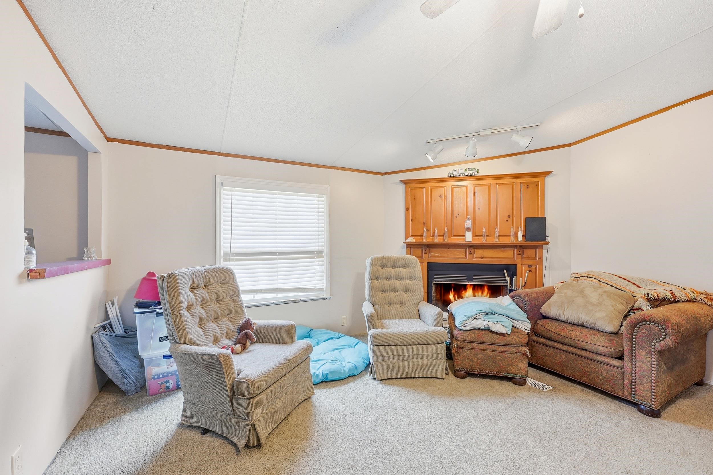 3778 Highway 66 Loris, SC 29569 - Photo 13 of 38