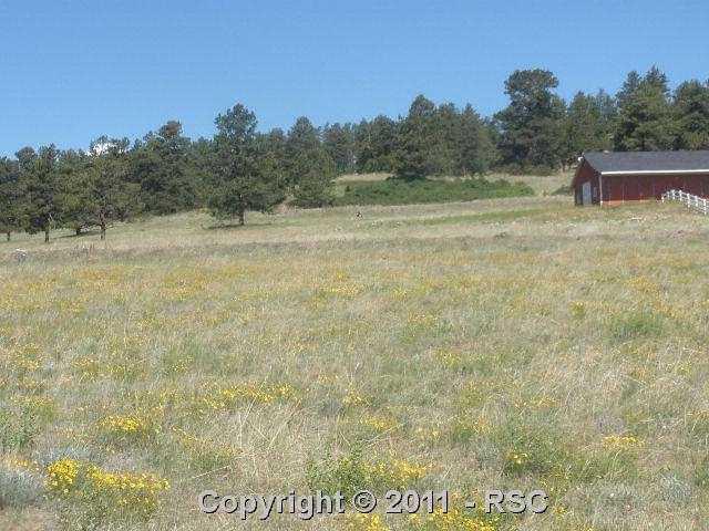 13777 County Road, Unit 102 Elbert, CO 80106 - Photo 13 of 15