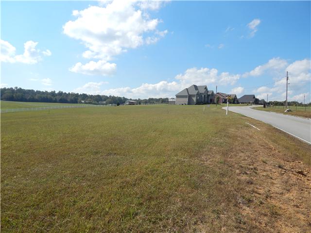0 Hall Cemetery Road, Unit 1 Burns, TN 37029 - Photo 5 of 6 Gallery Image 5
