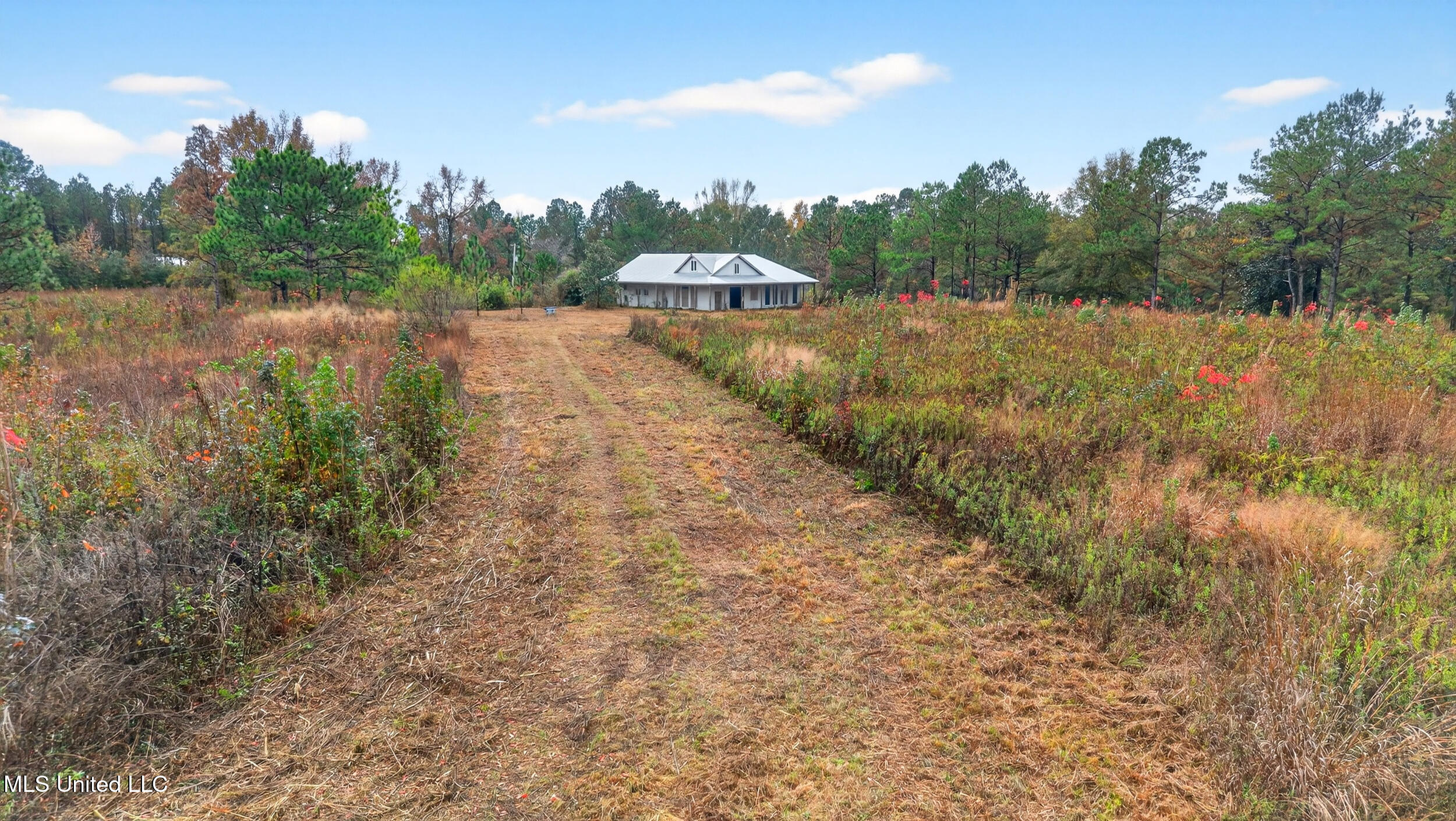 26 Fox Run North Carriere, MS 39426 - Photo 5 of 21 1_dji_20251121102704_0290_d
