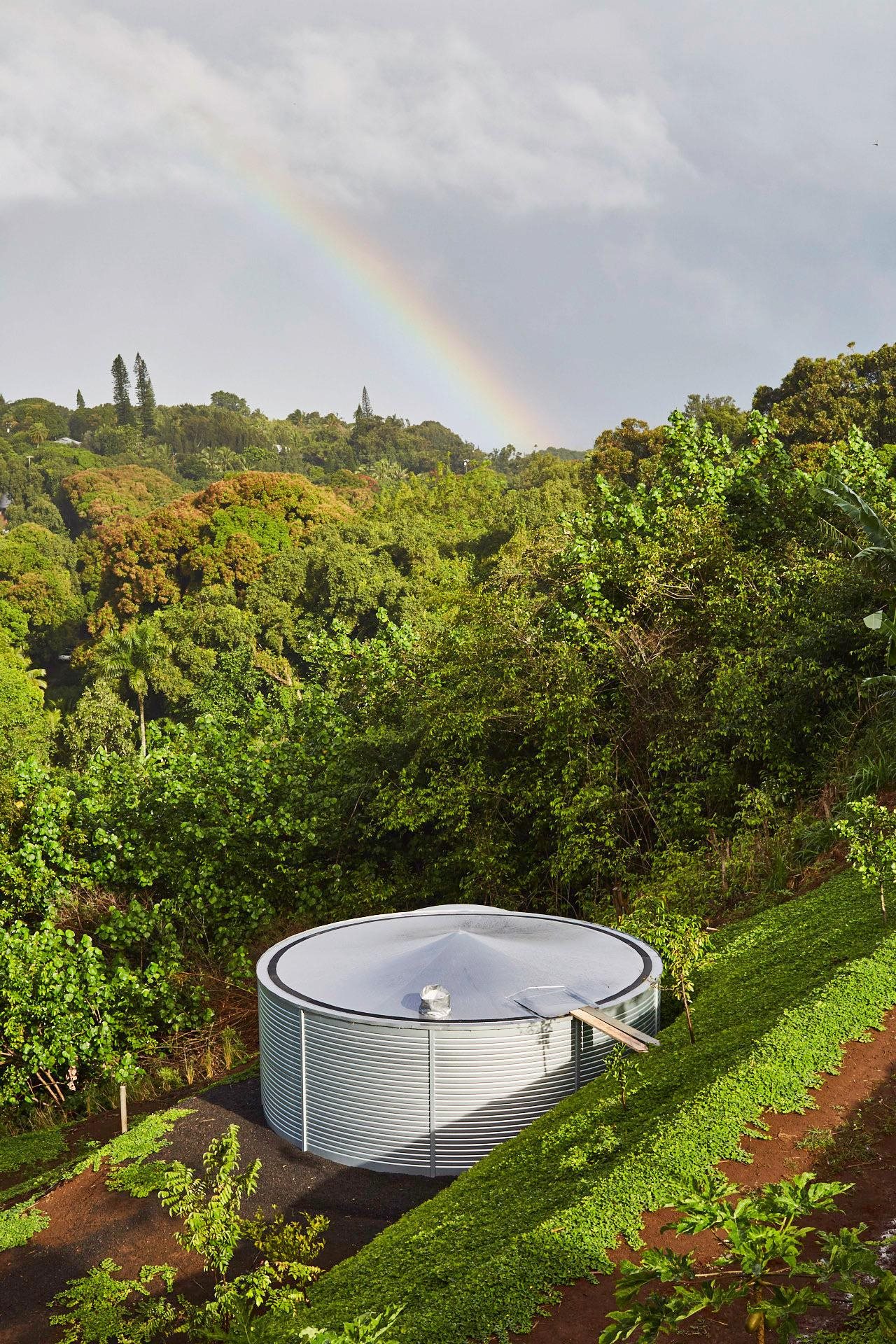 3127 Ua Noe Place, Unit B Haiku, HI 96708 - Photo 44 of 49