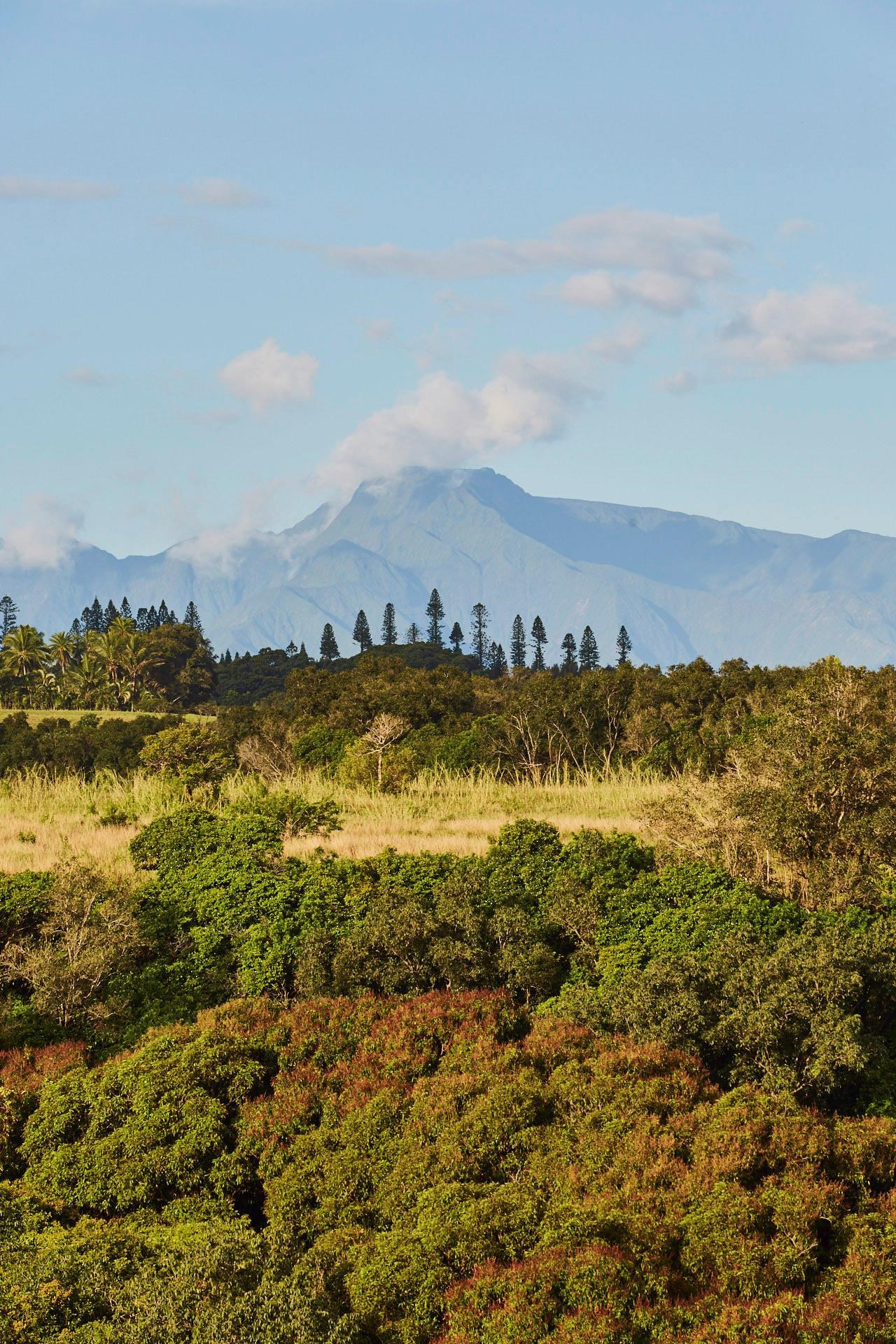 3127 Ua Noe Place, Unit B Haiku, HI 96708 - Photo 46 of 49