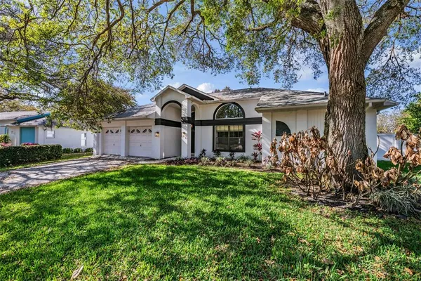 a house with trees in front of it