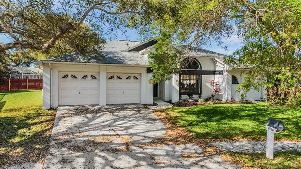 a view of a backyard with plants and large trees