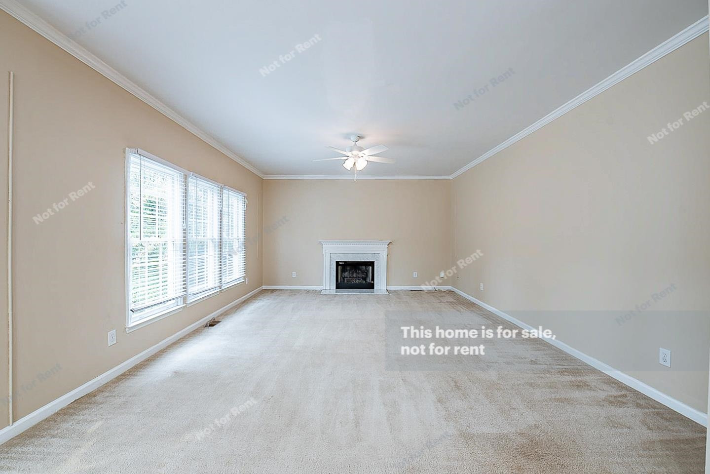 2340 Bolingbrook Lane Raleigh, NC 27613 - Photo 5 of 24 Photo 5