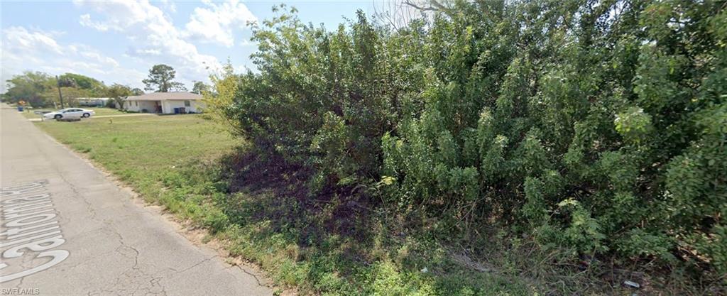 a view of a yard with plants and a bench