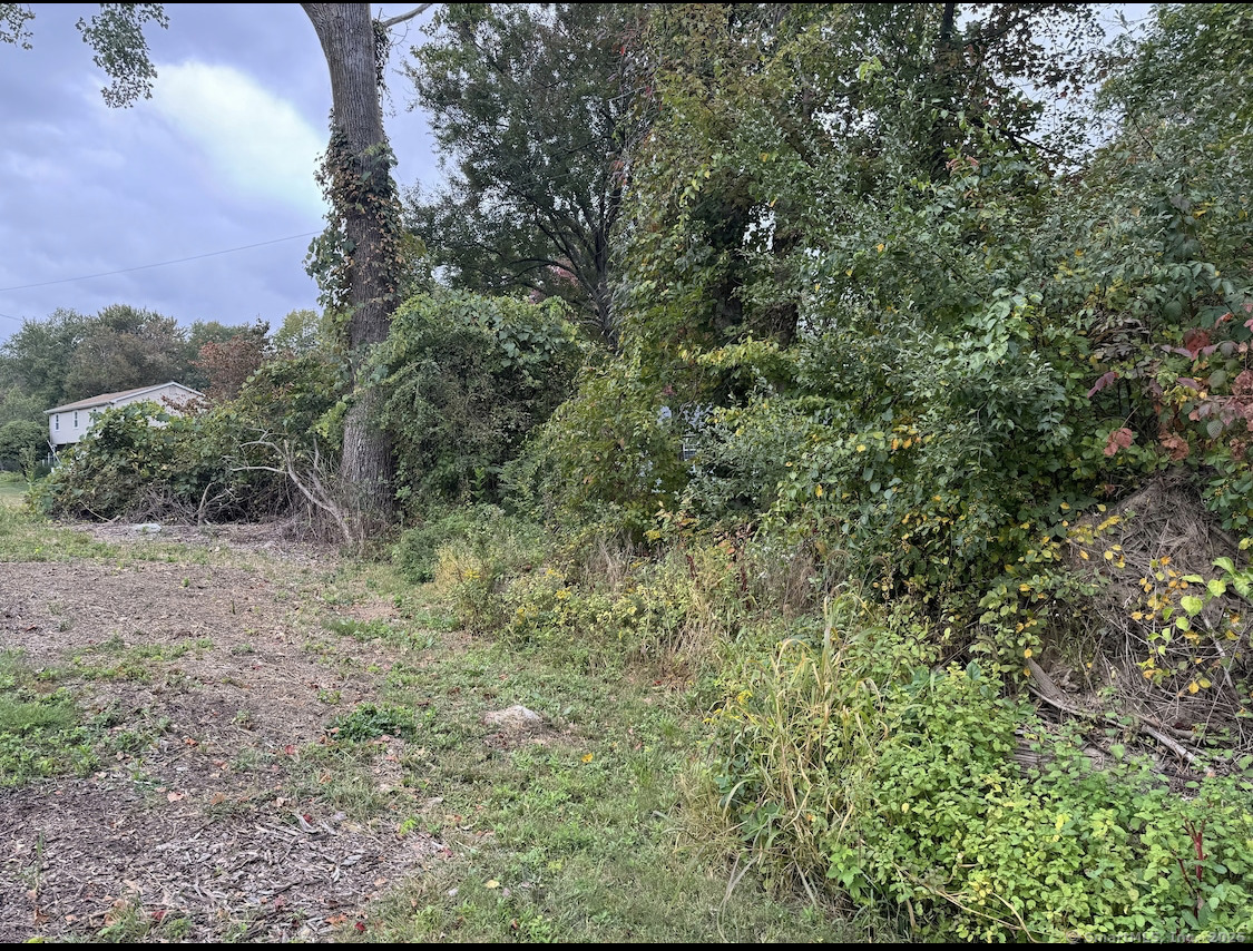 64 Columbine Road Tolland, CT 06084 - Photo 3 of 4 a view of a lush green forest with lots of trees