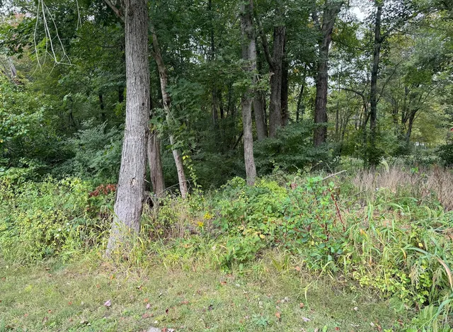 a view of backyard with green space