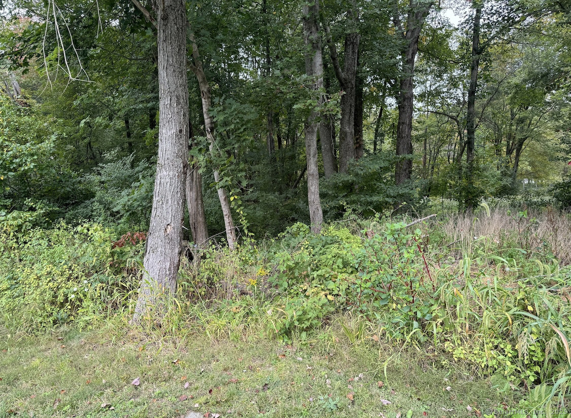 64 Columbine Road Tolland, CT 06084 - Photo 4 of 4 a view of backyard with green space