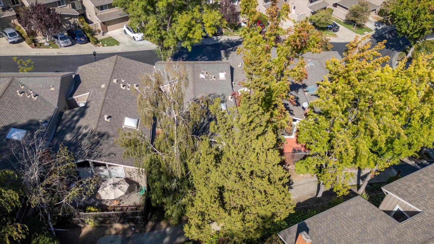 22944 Longdown Road Cupertino, CA 95014 - Photo 56 of 113 Gallery Image 56