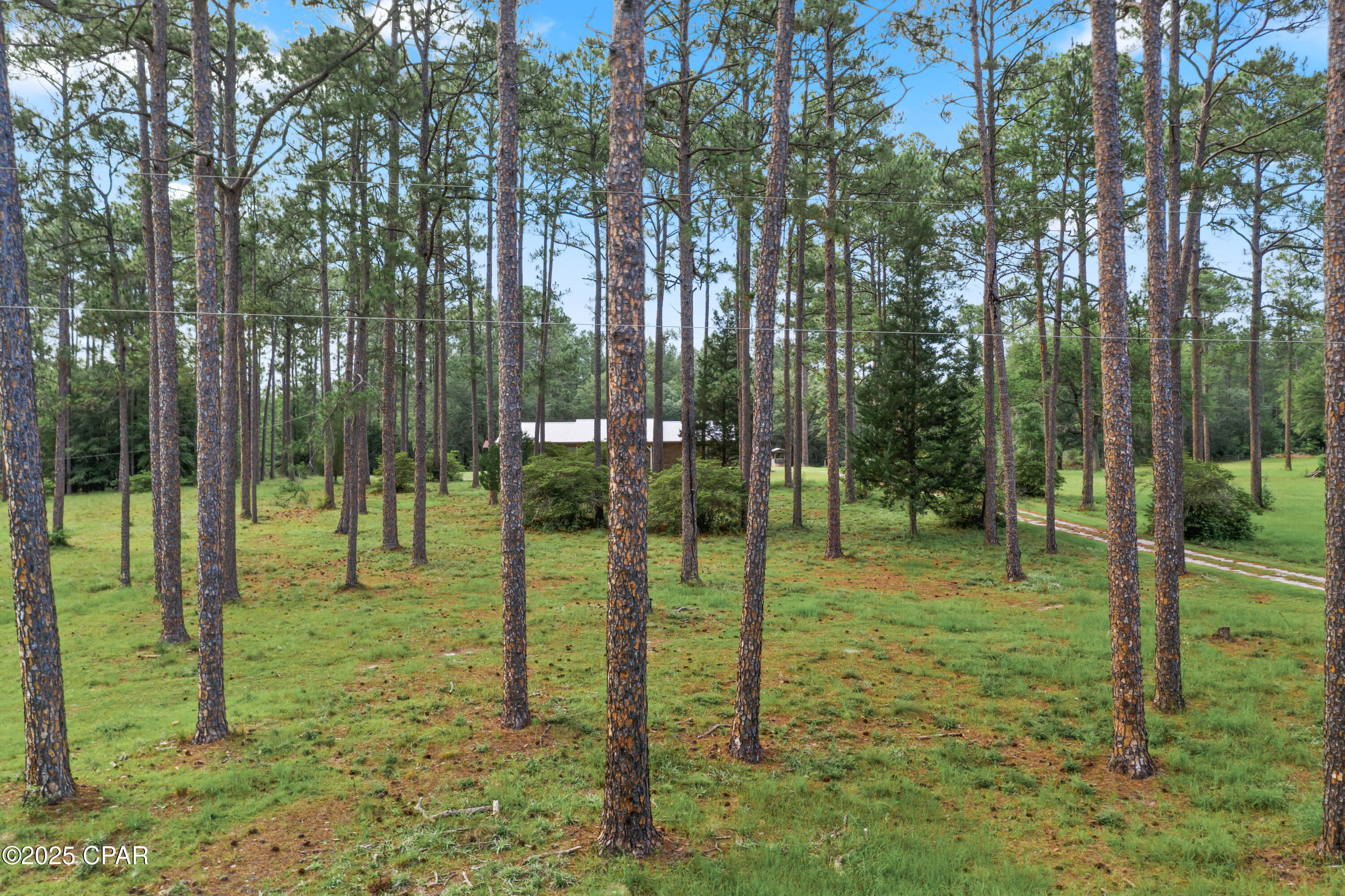 4808 Creek Road Vernon, FL 32462 - Photo 13 of 41 Gallery Image 13