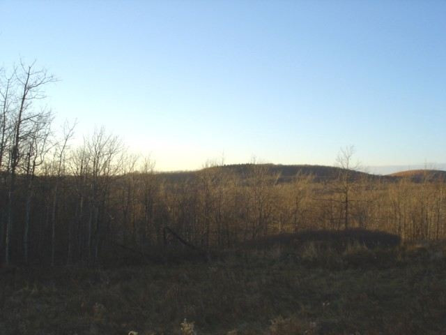 0 Camp Summit Road Summit, NY 12175 - Photo 3 of 6 Photo 3