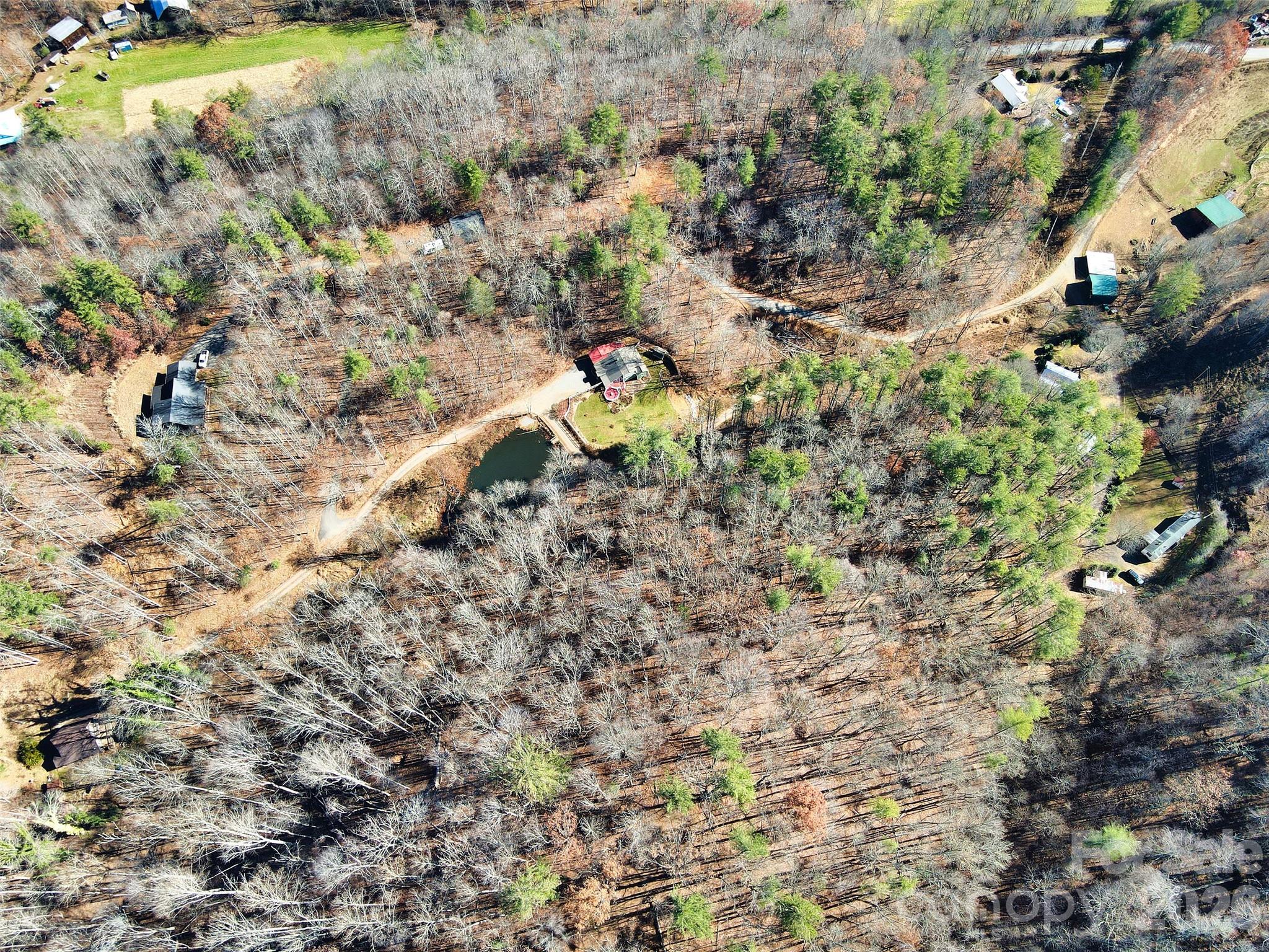 Tbd Rockinghorse Trail Burnsville, NC 28714 - Photo 11 of 13