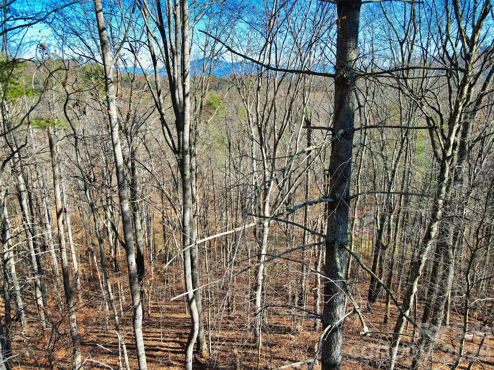 Tbd Rockinghorse Trail Burnsville, NC 28714 - Photo 12 of 13