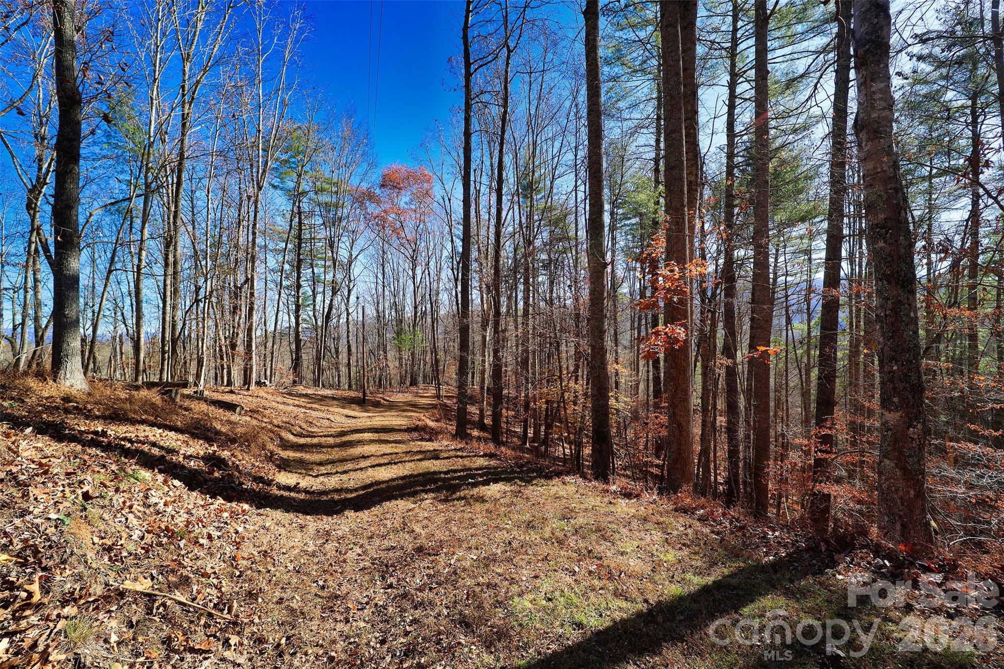 Tbd Rockinghorse Trail Burnsville, NC 28714 - Photo 4 of 13