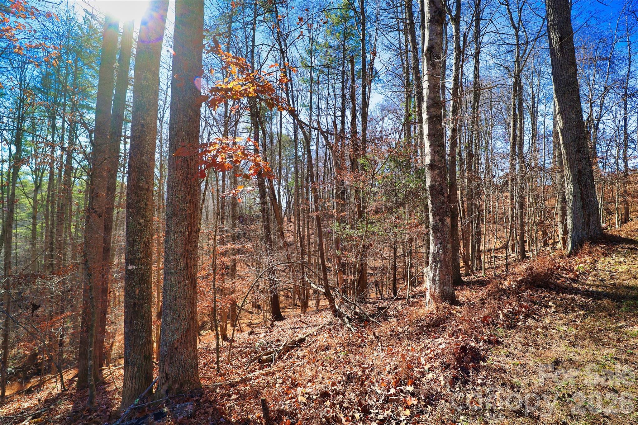 Tbd Rockinghorse Trail Burnsville, NC 28714 - Photo 6 of 13