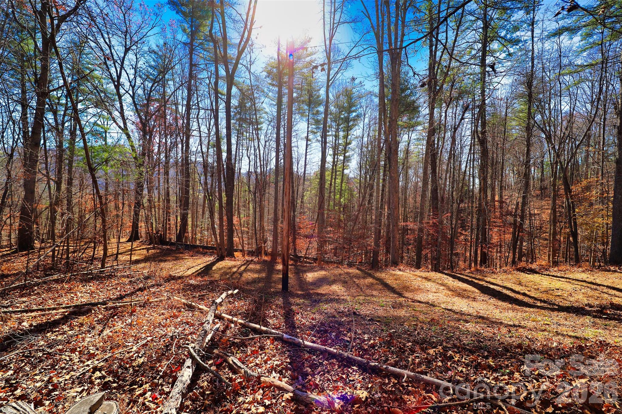 Tbd Rockinghorse Trail Burnsville, NC 28714 - Photo 7 of 13