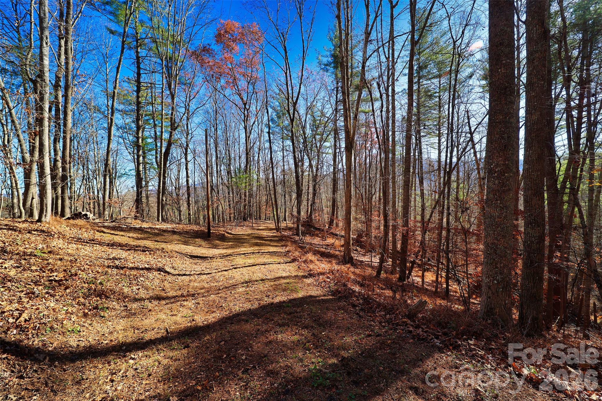 Tbd Rockinghorse Trail Burnsville, NC 28714 - Photo 8 of 13